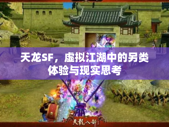 天龙SF，虚拟江湖中的另类体验与现实思考
