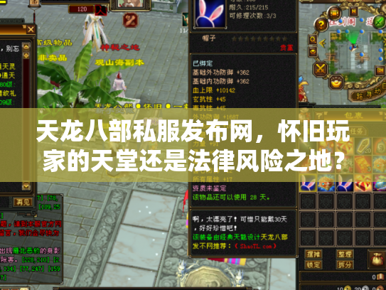 天龙八部私服发布网，怀旧玩家的天堂还是法律风险之地？