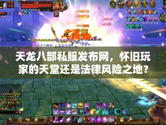 天龙八部私服发布网，怀旧玩家的天堂还是法律风险之地？