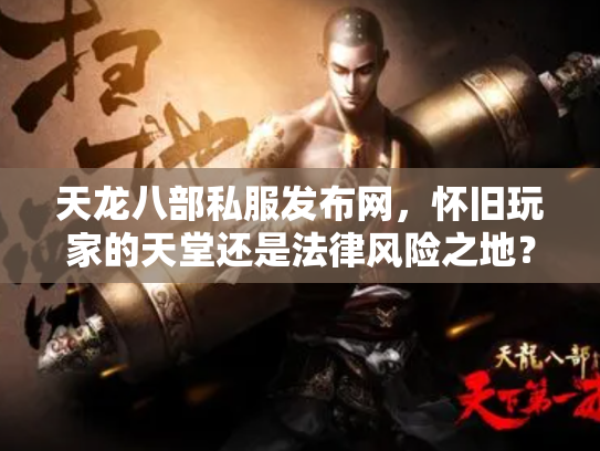 天龙八部私服发布网，怀旧玩家的天堂还是法律风险之地？