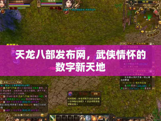 天龙八部发布网，武侠情怀的数字新天地