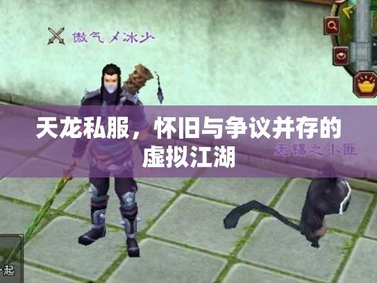 天龙私服，怀旧与争议并存的虚拟江湖