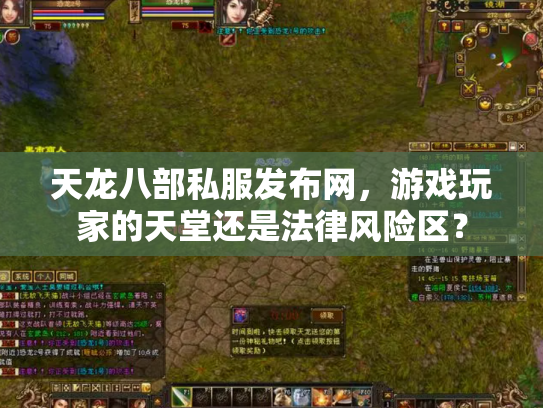 天龙八部私服发布网，游戏玩家的天堂还是法律风险区？
