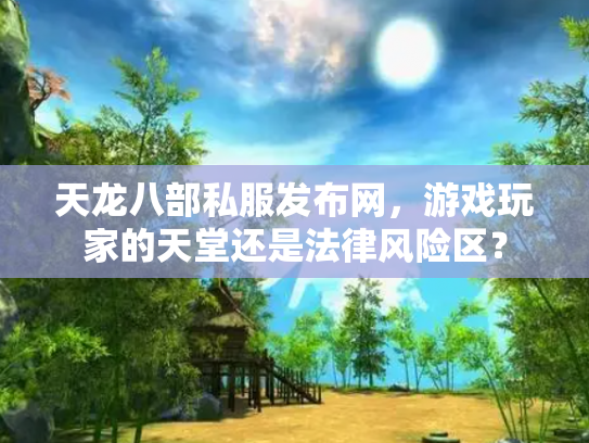 天龙八部私服发布网，游戏玩家的天堂还是法律风险区？