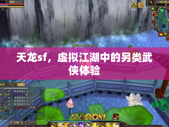 天龙sf，虚拟江湖中的另类武侠体验