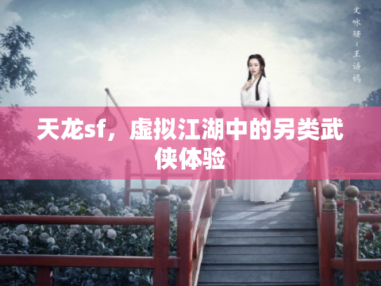 天龙sf，虚拟江湖中的另类武侠体验