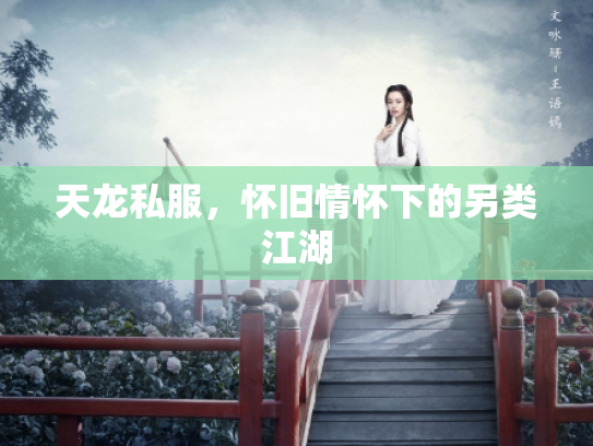 天龙私服，怀旧情怀下的另类江湖