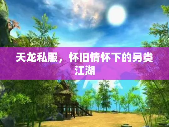 天龙私服，怀旧情怀下的另类江湖
