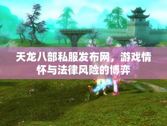 天龙八部私服发布网，游戏情怀与法律风险的博弈