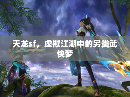 天龙sf，虚拟江湖中的另类武侠梦