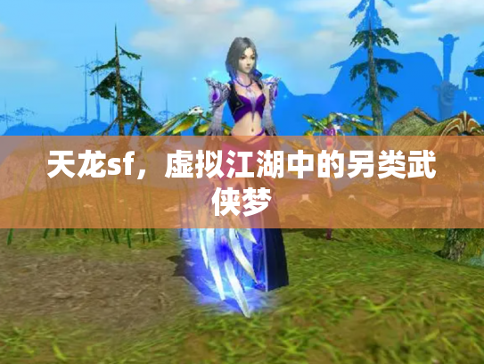 天龙sf，虚拟江湖中的另类武侠梦