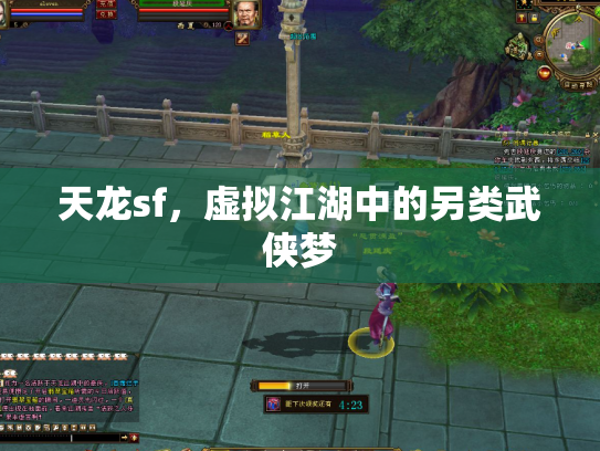 天龙sf，虚拟江湖中的另类武侠梦