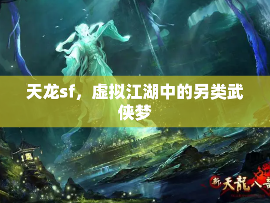 天龙sf，虚拟江湖中的另类武侠梦