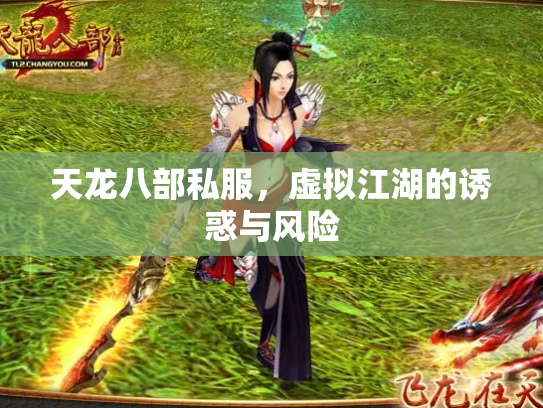 天龙八部私服，虚拟江湖的诱惑与风险