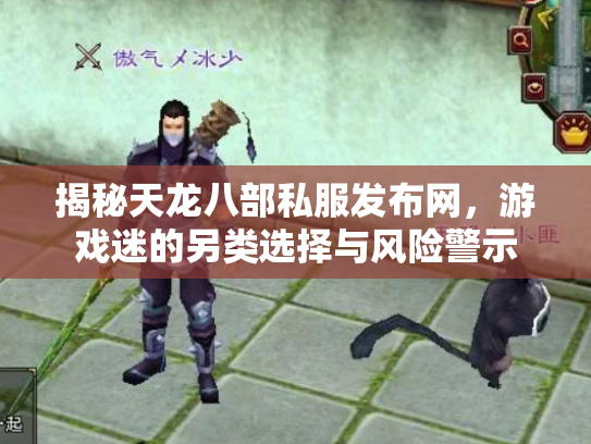 揭秘天龙八部私服发布网，游戏迷的另类选择与风险警示