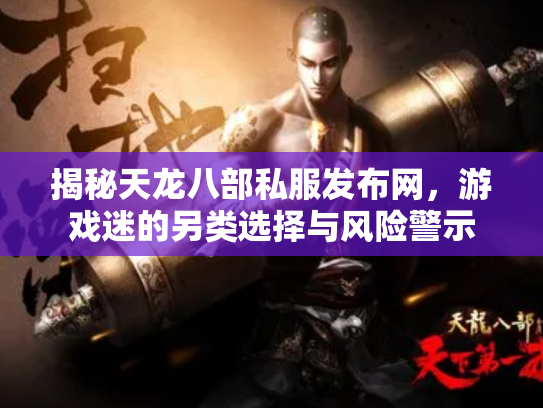 揭秘天龙八部私服发布网，游戏迷的另类选择与风险警示