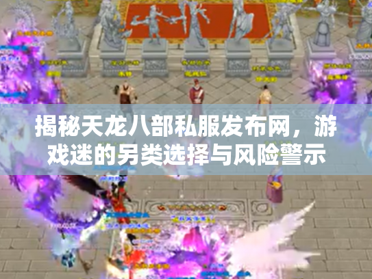 揭秘天龙八部私服发布网，游戏迷的另类选择与风险警示