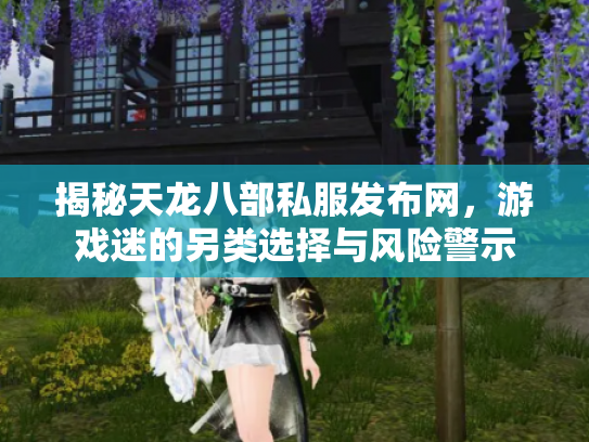 揭秘天龙八部私服发布网，游戏迷的另类选择与风险警示