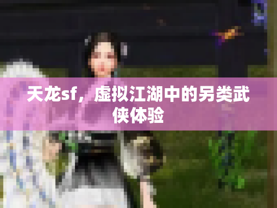 天龙sf，虚拟江湖中的另类武侠体验