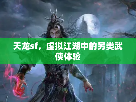天龙sf，虚拟江湖中的另类武侠体验