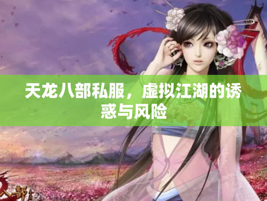 天龙八部私服，虚拟江湖的诱惑与风险