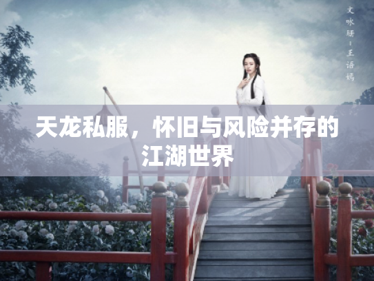 天龙私服，怀旧与风险并存的江湖世界