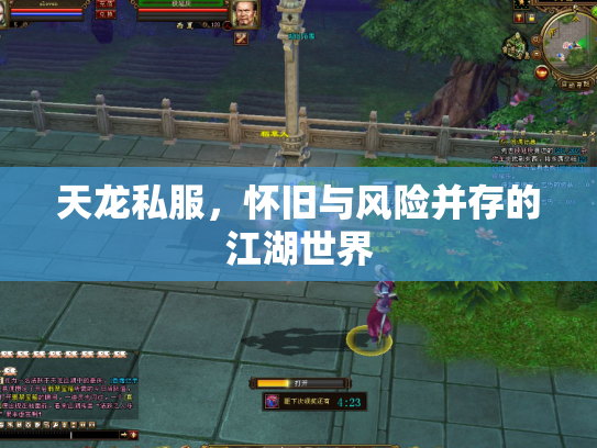 天龙私服，怀旧与风险并存的江湖世界