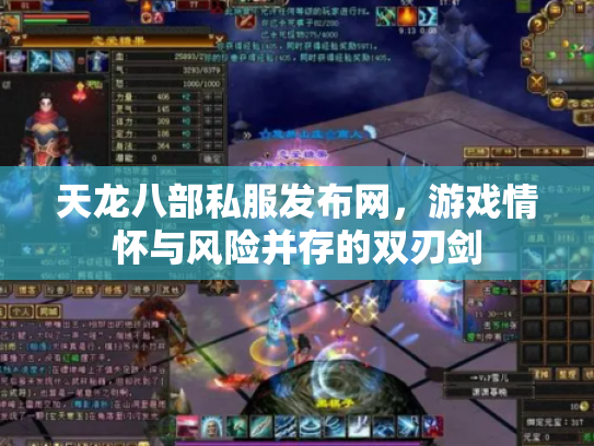 天龙八部私服发布网，游戏情怀与风险并存的双刃剑