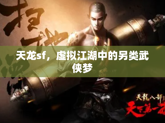天龙sf，虚拟江湖中的另类武侠梦