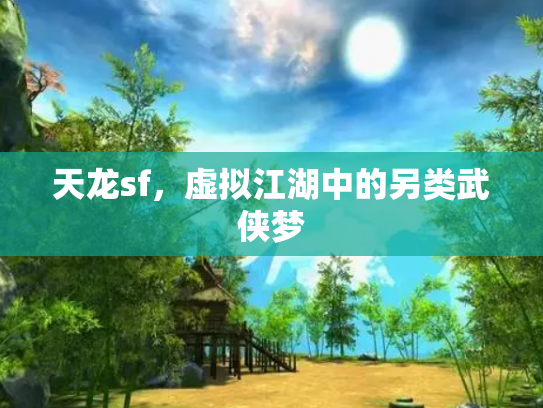 天龙sf，虚拟江湖中的另类武侠梦