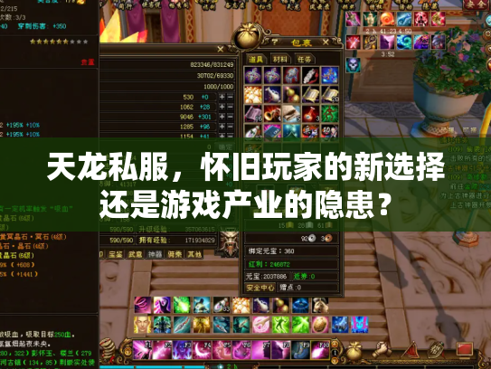 天龙私服，怀旧玩家的新选择还是游戏产业的隐患？