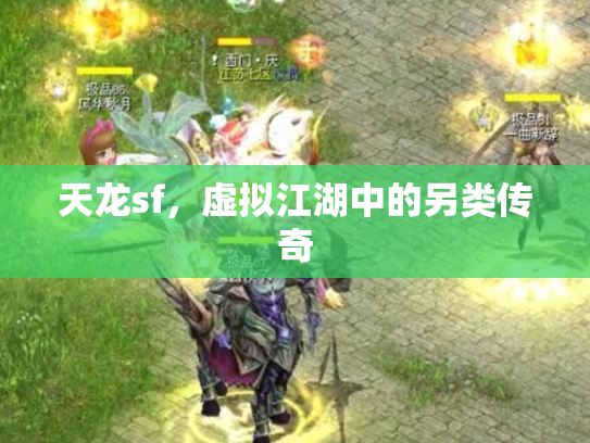 天龙sf，虚拟江湖中的另类传奇