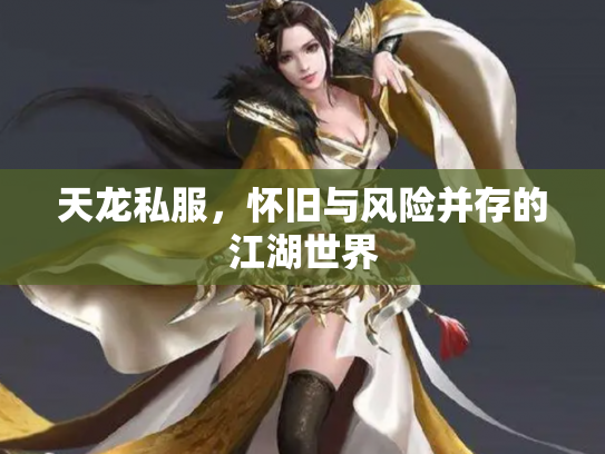 天龙私服，怀旧与风险并存的江湖世界