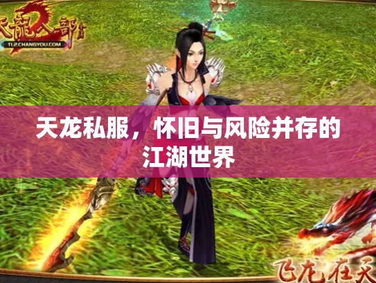 天龙私服，怀旧与风险并存的江湖世界
