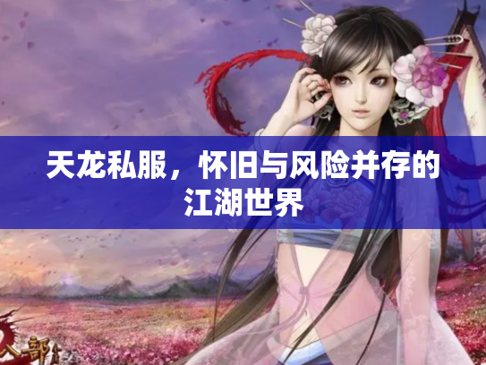 天龙私服，怀旧与风险并存的江湖世界