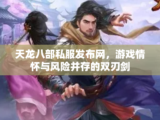 天龙八部私服发布网，游戏情怀与风险并存的双刃剑
