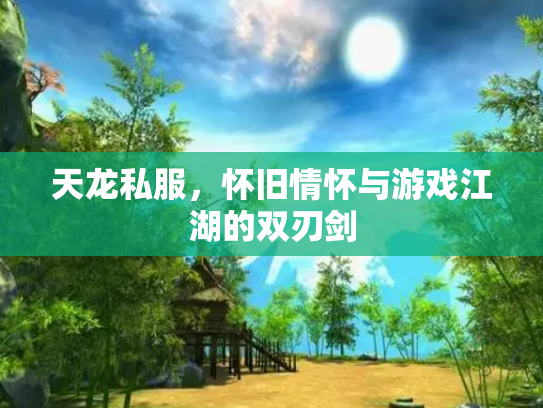 天龙私服，怀旧情怀与游戏江湖的双刃剑