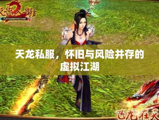 天龙私服，怀旧与风险并存的虚拟江湖