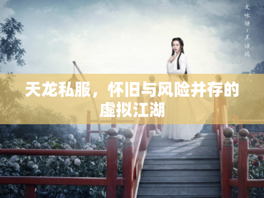 天龙私服，怀旧与风险并存的虚拟江湖