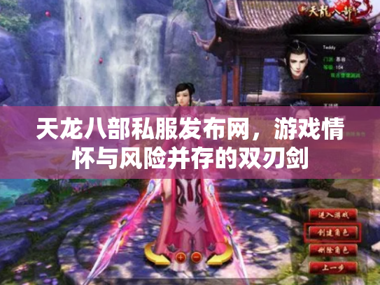 天龙八部私服发布网，游戏情怀与风险并存的双刃剑