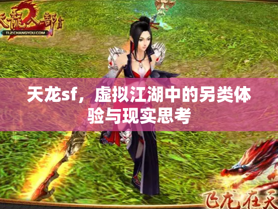 天龙sf，虚拟江湖中的另类体验与现实思考
