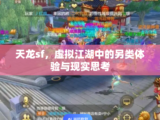 天龙sf，虚拟江湖中的另类体验与现实思考
