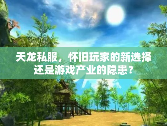天龙私服，怀旧玩家的新选择还是游戏产业的隐患？