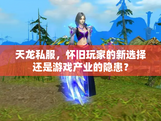 天龙私服，怀旧玩家的新选择还是游戏产业的隐患？