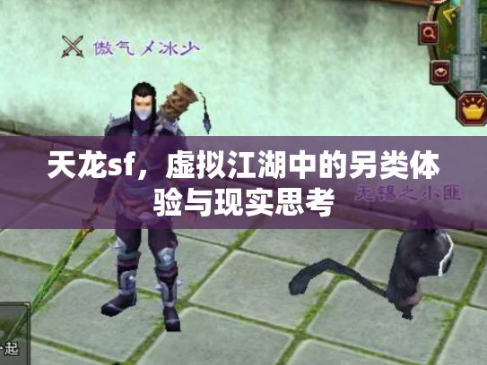 天龙sf，虚拟江湖中的另类体验与现实思考