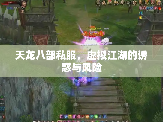 天龙八部私服，虚拟江湖的诱惑与风险