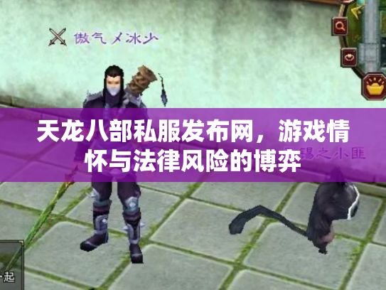 天龙八部私服发布网，游戏情怀与法律风险的博弈
