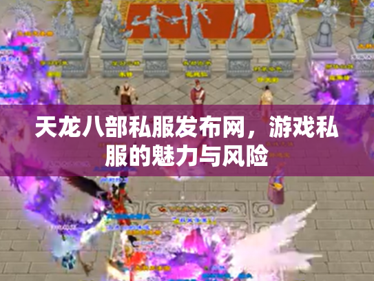 天龙八部私服发布网，游戏私服的魅力与风险