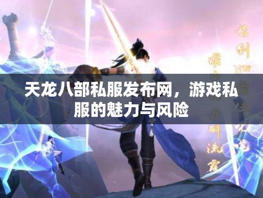 天龙八部私服发布网，游戏私服的魅力与风险