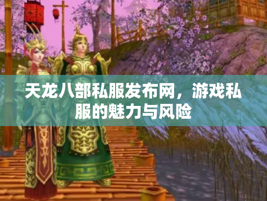 天龙八部私服发布网，游戏私服的魅力与风险